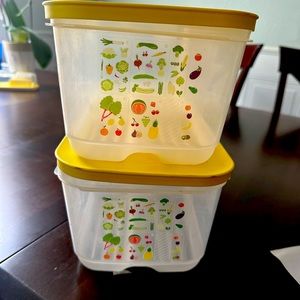 Tupperware Fridgesmart Large